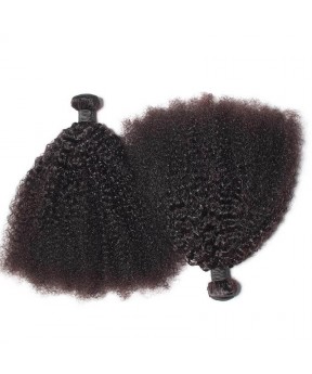 Afro Kinky Curly Brazilian Virgin Hair Bundles Human Hair