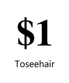 One Dollar Payment Link To Finish Prices Difference