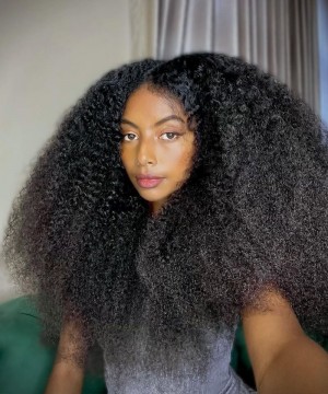 Afro Kinky Curly 6X6 Lace Closure Wigs Glueless HD Lace Closure Wigs