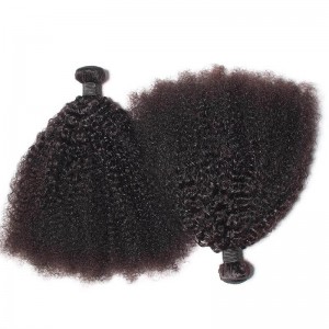 Afro Kinky Curly Brazilian Virgin Hair Bundles Human Hair 