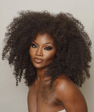 Afro Kinky Curly 6X6 Lace Closure Wigs Glueless HD Lace Closure Wigs