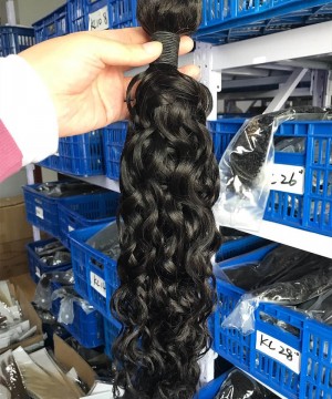 Water Wave Brazilian Virgin Hair One Bundle