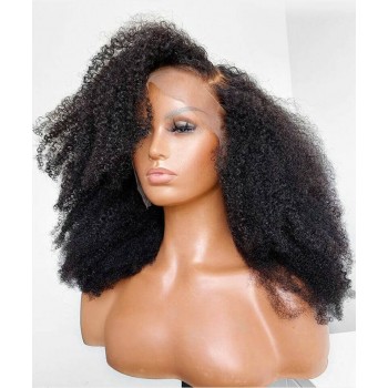 Afro Kinky Curly 13x6 Hd Lace Front Human Hair Wig
