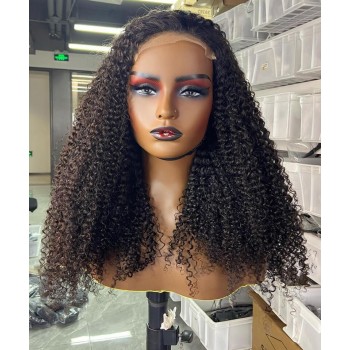 Afro Kinky Curly 6X6 Lace Closure Wig 10-30 Inches Pre Plucked For Sale