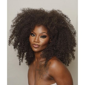 Afro Kinky Curly 6X6 Lace Closure Wigs Glueless HD Lace Closure Wigs