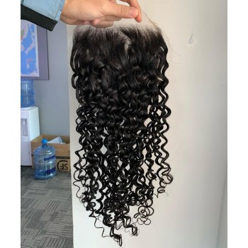 Water Wave 7x7 Lace Closure Human Hair Pre Plucked