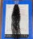 Burmese Curly Human Hair 2x6 HD Lace Closure 