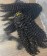 3B 3C Kinky Curly Clip In Human Hair Extensions Cheap Prices