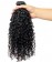 3B 3C Kinky Curly Brazilian Virgin Hair One Bundle 