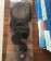 Brazilian Body Wave Silk Base Lace Closure 10-24 Inches
