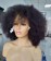 Afro Kinky Curly Short Bob Human Hair Lace Front Wig 