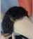 Afro Kinky Curly 360 Lace Frontal Wigs Pre Plucked
