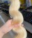 613 Color Body Wave Tape Human Hair Extensions