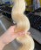 Body Wave 613 Blonde Brazilian Virgin Hair Weave