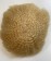 613 Blonde Afro Kinky Curly Human Hair Toupee For Men