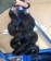 Combodia Virgin Hair Body Wave Bundles 10-30 inches