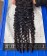 Burmese Curly 5x5 Lace Closure With Circle Ending Human Hair Pre Plucked