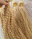 613 Blonde Color Brazilian Virgin Hair Bundles Kinky Curly 3Pics