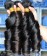 Quality Brazilian Egg Curly Human Hair Weave Bundles