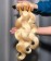 #613 Color Body Wave Brazilian Virgin Hair 3 Pcs