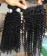 Two Kinky Curly Human Hair Bundles With Lace Closure 
