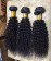 Kinky Curly Eurasian Virgin Hair For Sale 8-30 Inches 3Pics