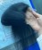 Light Yaki Straight Human Hair 4x4 Lace Closure With Baby Hair 8-20 Inches
