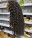 13x6 HD Lace Frontal Loose Curly Wigs 200% Density 10-30 Inches 