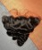 Loose Wavy 13X4 Lace Frontal Closure Pre Plucked With Baby Hair 10-20 Inches