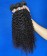 Kinky Curly Eurasian Virgin Hair For Sale 8-30 Inches 3Pics