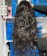 13X4 HD Lace Front Wigs Water Wave With Baby Hair 150% Density