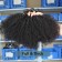 Afro Kinky Curly Brazilian Virgin Hair Bundles Human Hair 