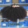 Afro Kinky Curly Human Hair Bundles With 4X4 Lace Closure