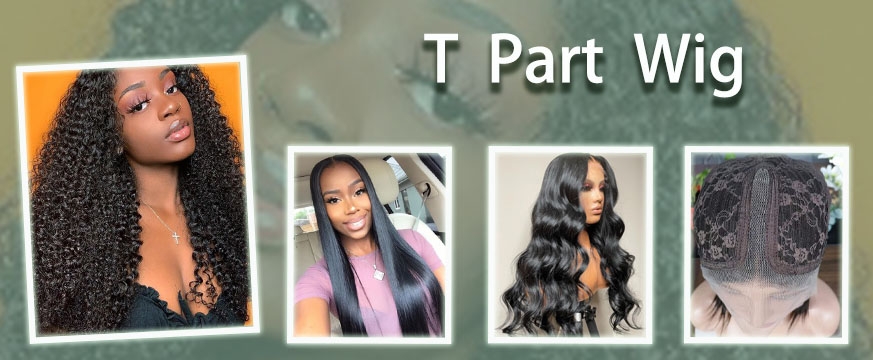 tpartwigintroducing