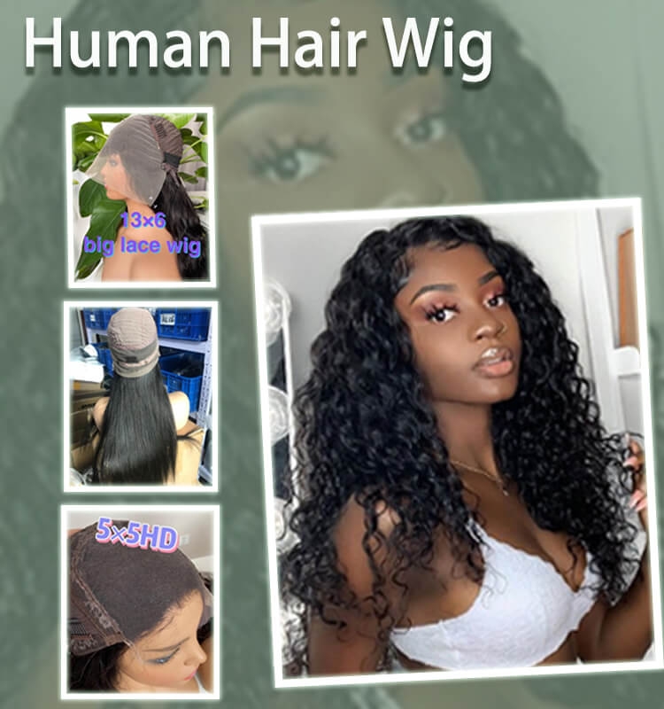 Human Hair Wigs Introducing