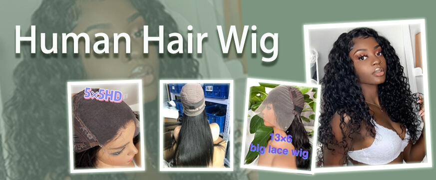 Human Hair Wigs Introducing